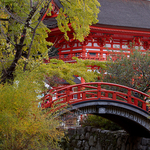 Shimogamo Shrine