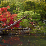 Tenryu-ji Tempel im Herbst