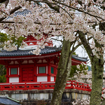 Daikakuji Temple