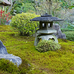 Kegonji Temple (Suzumushi-dera)