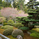 DSCN0927