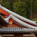 DSCN0936