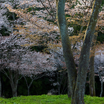 Yoshino-Yama