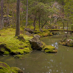 Kyoto Saihoji Temple (Koke-dera) Moostemple