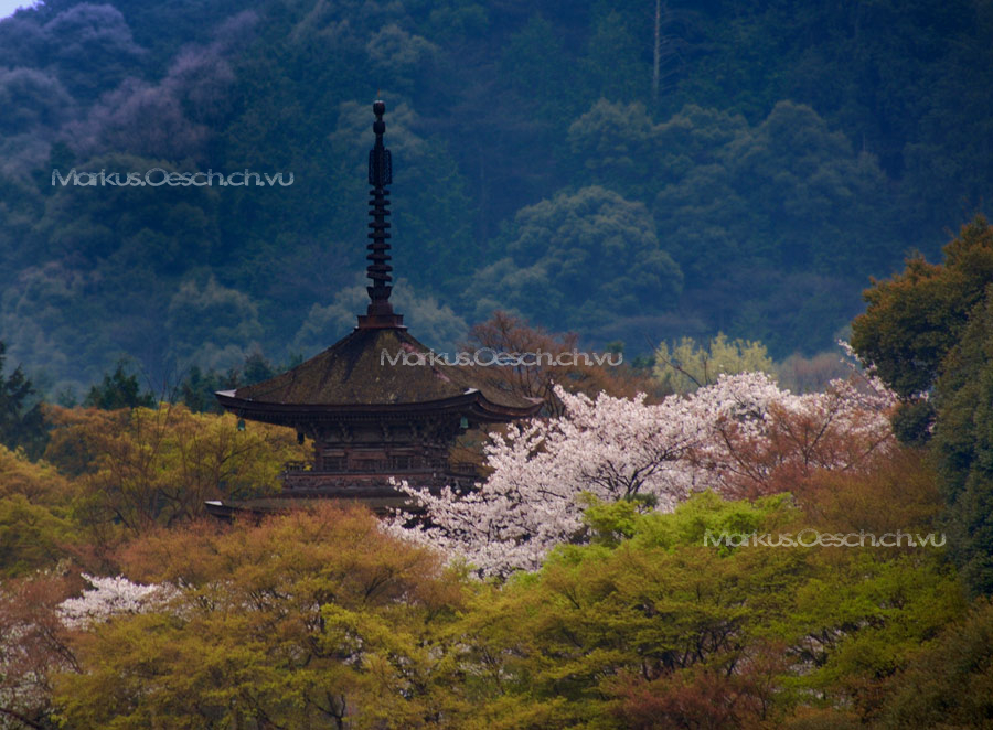 Kiyomizu Tempel