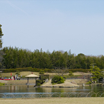 CF000409