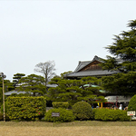 CF000474