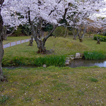 DSCN0393