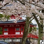 Daikakuji Temple (Kyoto)