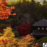 Ginkakuji Tempel,  Der "Silberpavillion"  (Kyoto)