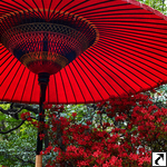 Rikugien Garden (Tokyo)