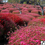 Komuroyama Park (Izukogen)