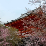 Ninna-ji old Imperial Palace