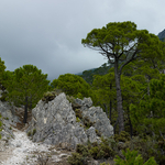 Sierra de Almijara