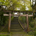 CF003016