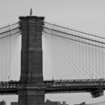 DSC_8383-sw