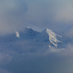 CF006391