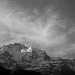 CF010458-sw