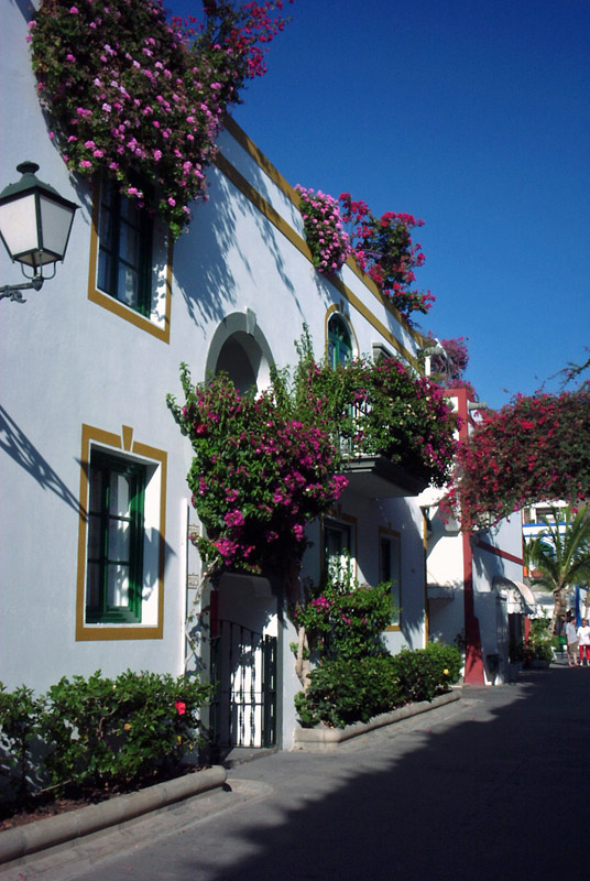PICT0074.jpg