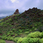 PICT0089.jpg