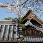 Kurodani Konkai-komyoji Temple