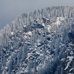 CF006390
