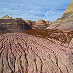 Petrified Forest National Park - Arizona