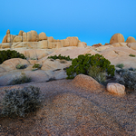  Joshua Tree National Park - Californien