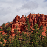 Red Canyon
