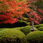 Shisen-do Temple