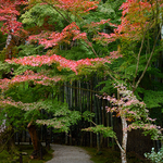 Enkoji Temple