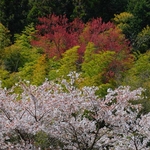 Tsumago-juku