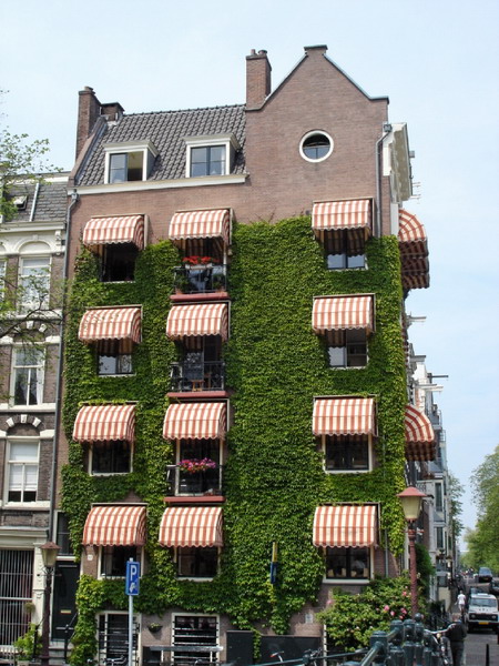 Amsterdam_2006_1733.jpg